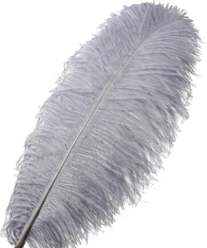 Larryhot Natural Ostrich Feathers - Image 2