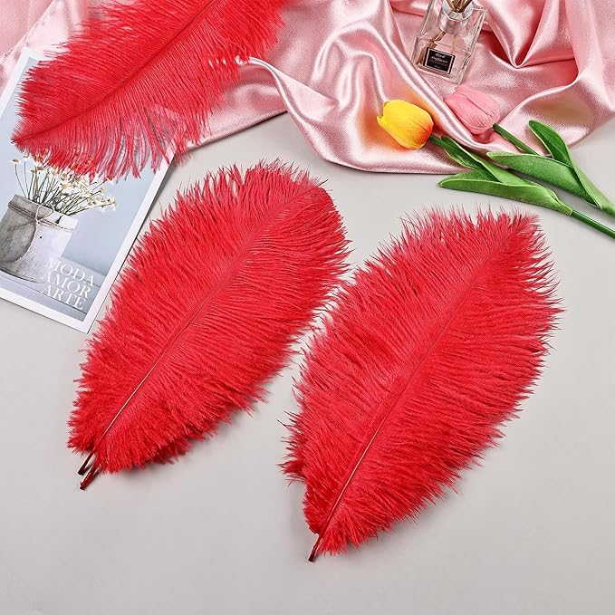 THARAHT Red Ostrich Feathers 24pcs Natural Bulk 10-12Inch 25cm-30cm - Image 4