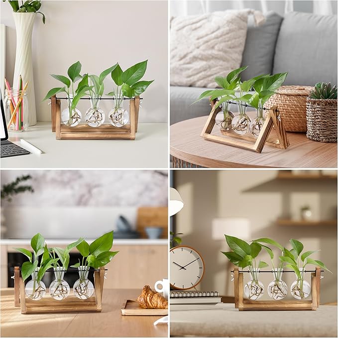 YIBOT Plants Propagation Stations, Desk Plant Terrarium - Image 7