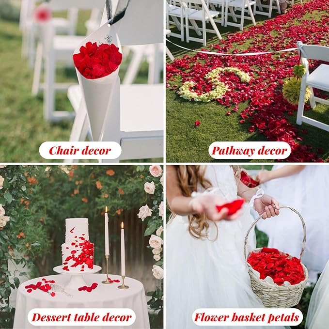 1500Pcs Real Dried Red Hydrangea Flower Petals - Image 5