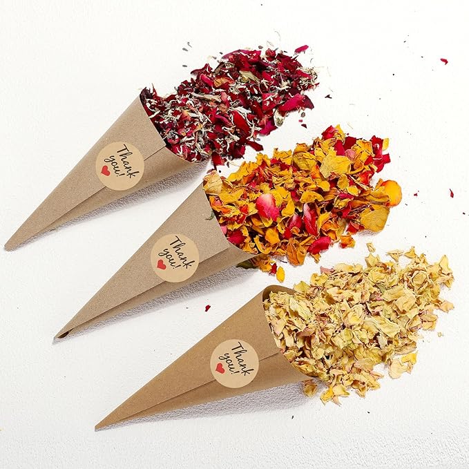 PATIKIL Dried Flower Confetti Cones - Image 4