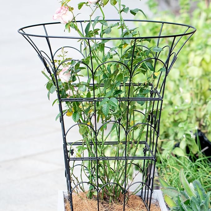 COOOXIM Peony Cages & Supports - Image 6