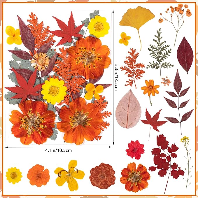 78 Pcs Fall Dried Pressed Flowers - Image 2