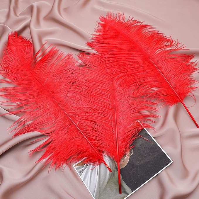 12pcs Natural Bright Red Ostrich Feathers 12-14inch - Image 4