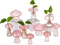 Glasseam Mushroom Plant Propagation Stations: Pink Glass Terrarium Jar Set of by Glasseam