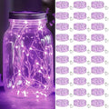 kolpop 30 Pack LED Fairy Lights Battery Operated, 7FT 20 LED Mini Twinkle by kolpop