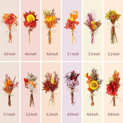 10/12/24 Pack Dried Flowers for Vase Various Mini Bouquet Dried Small - Image 2