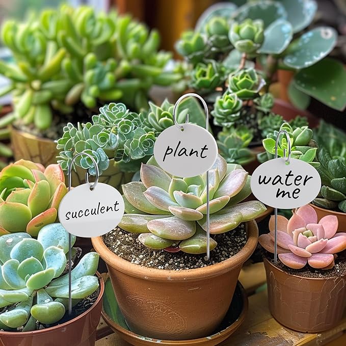 Temlum Plant Labels with Marker Pen - Image 5