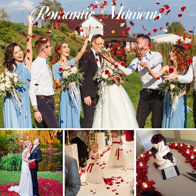 3.5 Oz Dried Rose Petals Wedding Biodegradable Petals, Natural Preservation - Image 6
