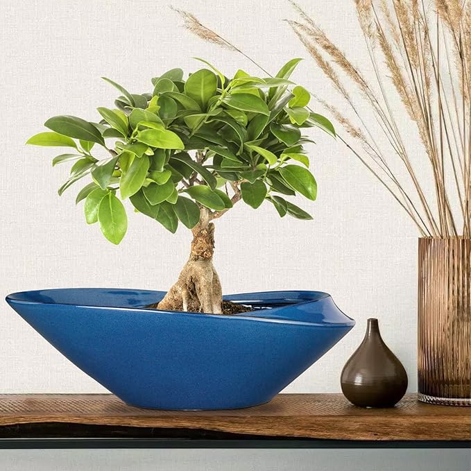 Bonsai Pot - 18 Inch Ceramic Planter - Image 2