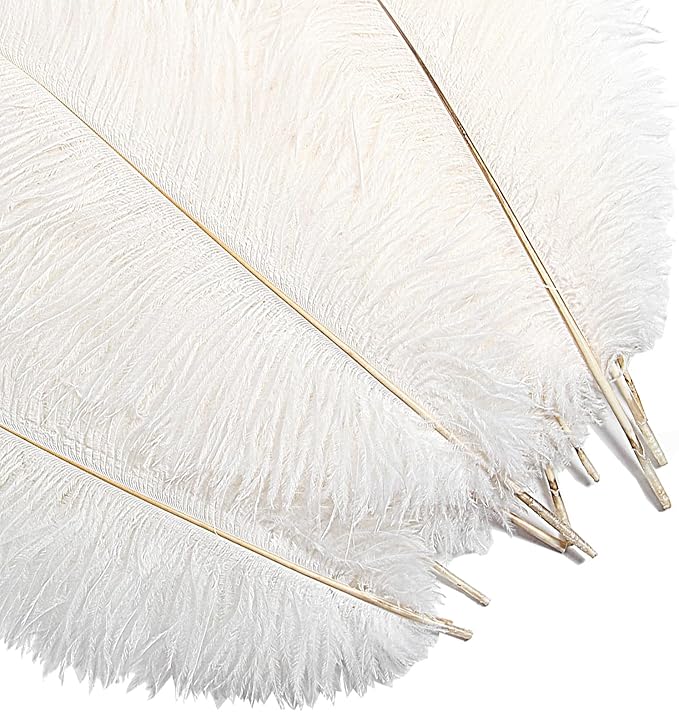 Bulk White Ostrich Feathers - Image 6