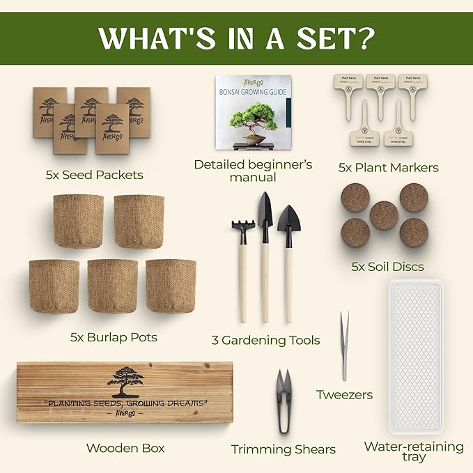 AVERGO Bonsai Tree Kit for Beginners – 5X Unique Japanese Bonzai Trees | - Image 6