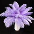 THARAHT Lavender Ostrich Feathers 24pcs Natural Bulk 8-10Inch 20cm-25cm by THARAHT