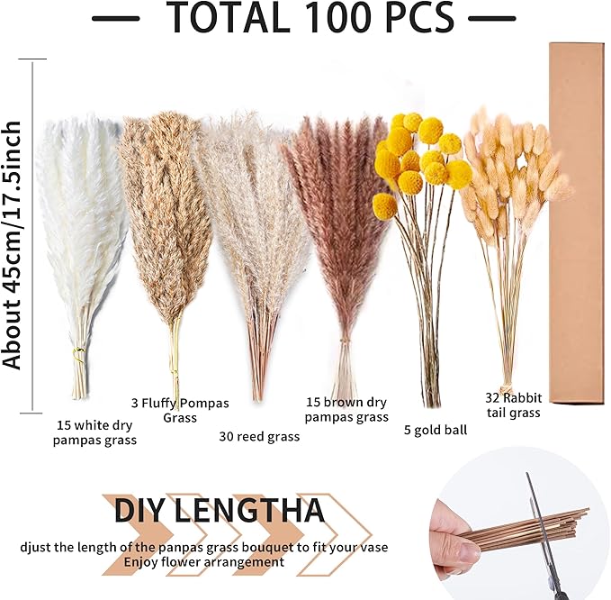 100PCS Natural Dried Pampas Grass Decor - Image 3