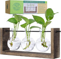 Garden Republic Plant Propagation Station, Wooden Stand by %C2%B7GARDENREPUBLIC%C2%B7