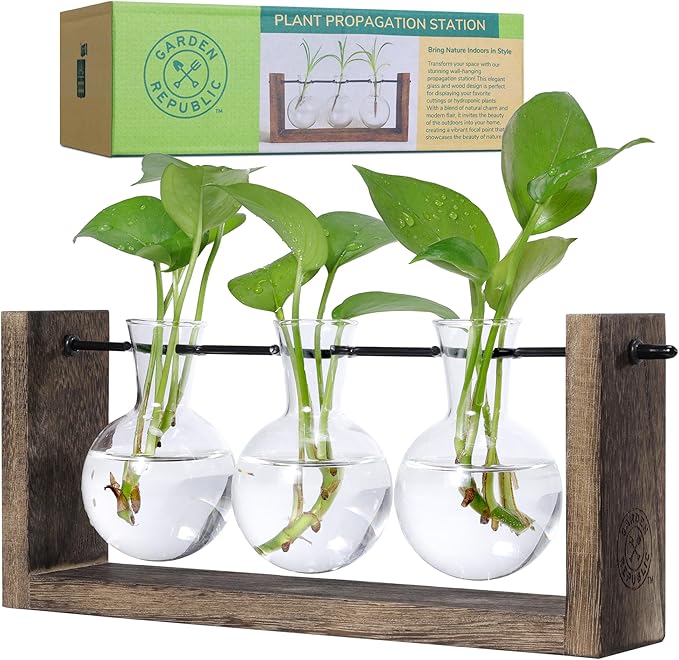 Garden Republic Plant Propagation Station, Wooden Stand by %C2%B7GARDENREPUBLIC%C2%B7