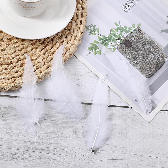 SOGUGOM White Rooster Tail Feathers - Image 6