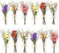 12/24 Pack Dried Flowers for Vase Various Mini Bouquet Dried Small Wildflowers by Unknown