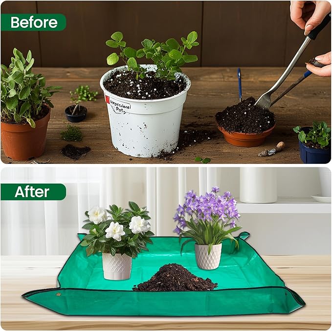 GROWNEER Bonsai Pots 3 Packs 11 Inch Bonsai Tree Training Pot - Image 5