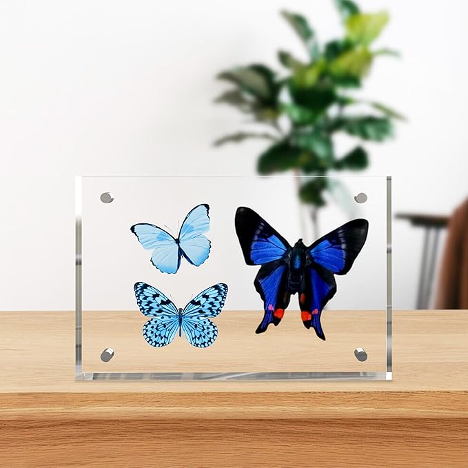 4x6 Inches Acrylic Picture Frames 1 Pack, Double Sided Magnetic Photo Frames - Image 2