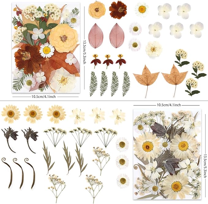 100P Vintage White Dried Flowers - Image 2