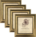 5x5 Picture Frame with Real Glass, 4 set Ornate Vintage Picture Frames by TKYGU