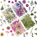 80 Pcs Dried Pressed Flowers for Crafts, Natural by LUXEEASE