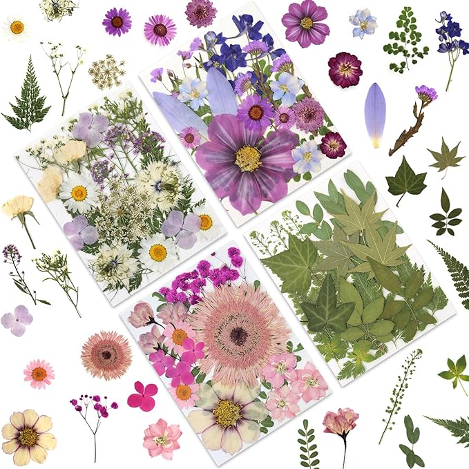 80 Pcs Dried Pressed Flowers for Crafts, Natural by LUXEEASE