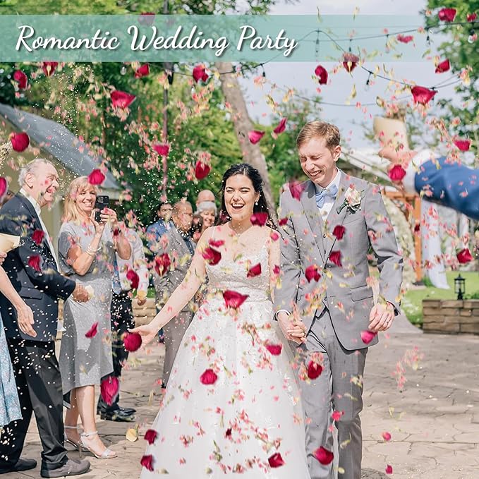 40+ Cups 9.3oz Real Biodegradable Flower Petal Wedding Confetti, 5 QT 5 Kinds - Image 3