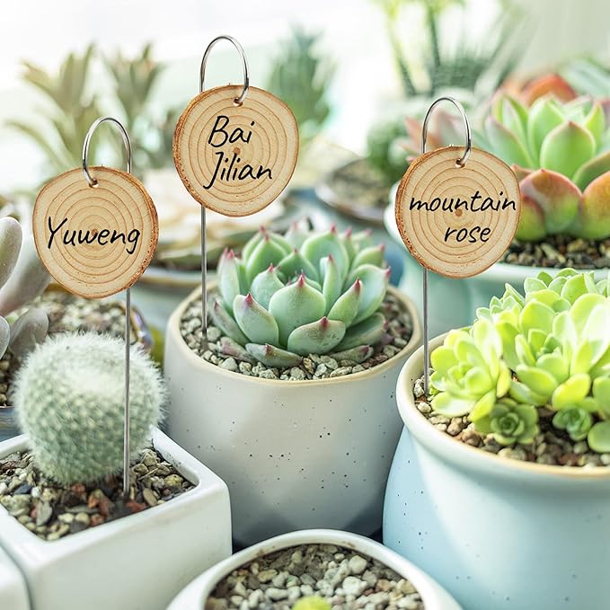 Temlum Wooden Plant Labels - Image 2