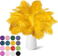 NEWONG 30pcs Gold Ostrich Feathers Natural Bulk 8-10inch Vase Craft Wedding by NEWONG