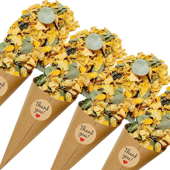 PATIKIL Dried Flower Confetti Cones by PATIKIL