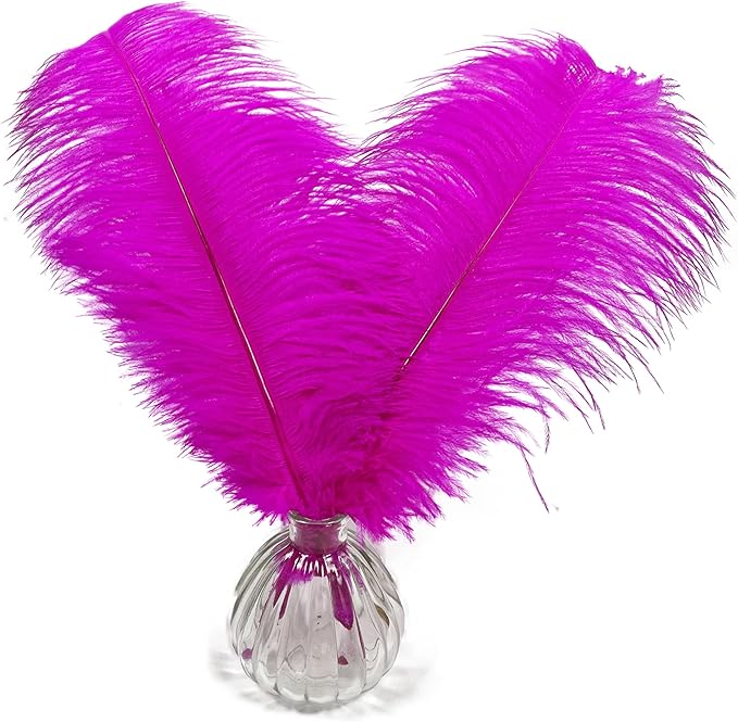 Happy Feather 16-18 inch Fuchisa Ostrich Feathers Craft by SupplyHighQualityFeathers