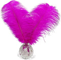 Happy Feather 16-18 inch Fuchisa Ostrich Feathers Craft by SupplyHighQualityFeathers