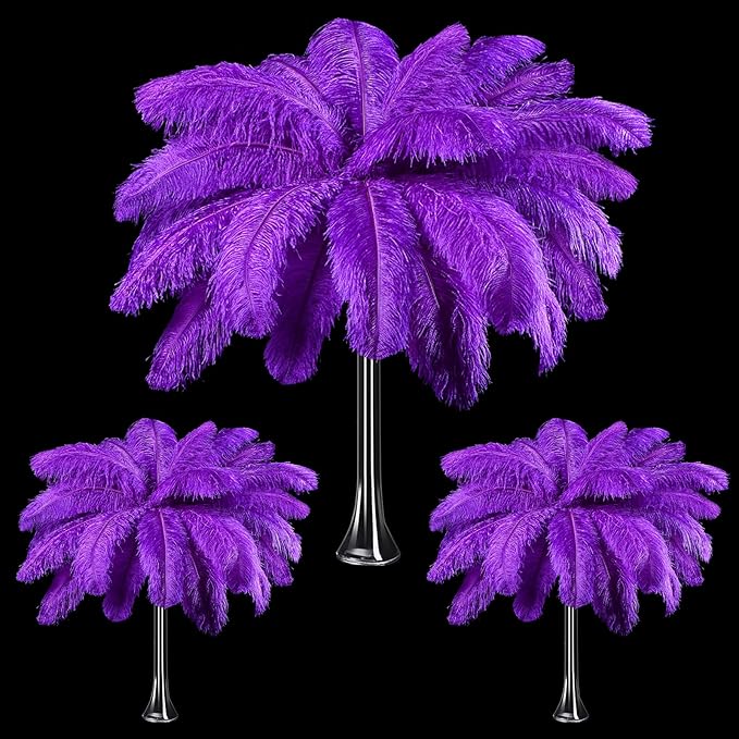 Maitys 90 Pcs Large Natural Ostrich Feathers Bulk 14-16 Inch 12-14 Inch 10-12 by Maitys