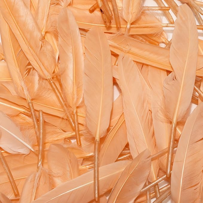 FeelfunFeather 120pcs Champagne Goose Cochettes Feather Natural Bulk 4-6 inch - Image 5