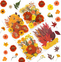 80P Autumn Tone Dried Flowers for Crafts by LUXEEASE