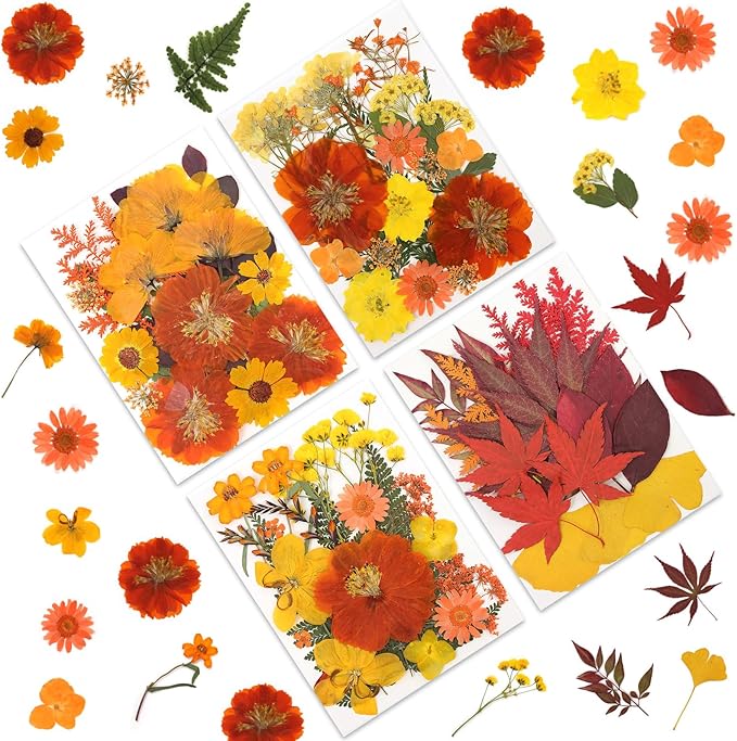 80P Autumn Tone Dried Flowers for Crafts by LUXEEASE