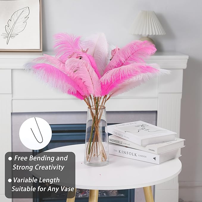Holmgren Pink White and Light Pink Ostrich Feathers - Image 4
