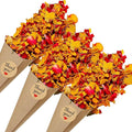 PATIKIL Dried Flower Confetti Cones by PATIKIL