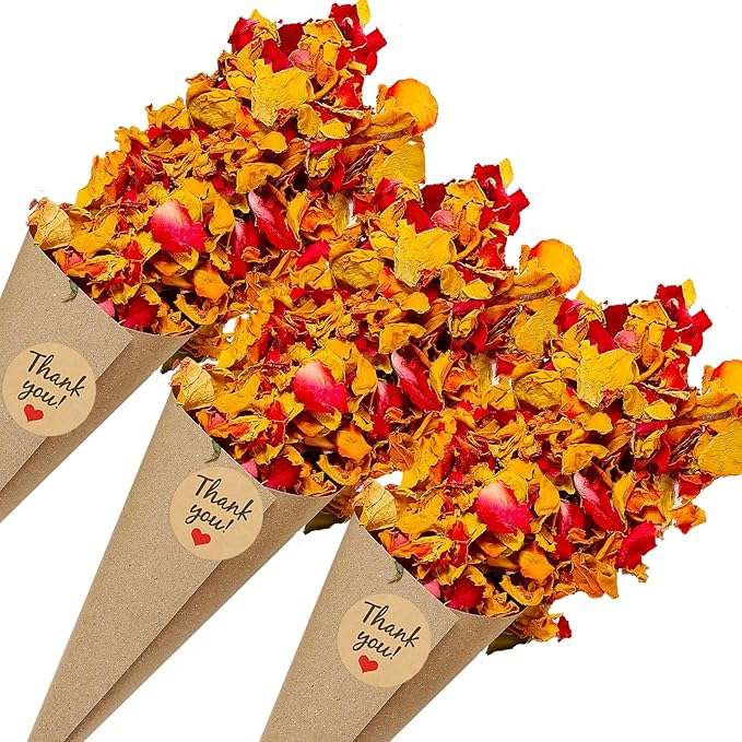 PATIKIL Dried Flower Confetti Cones by PATIKIL