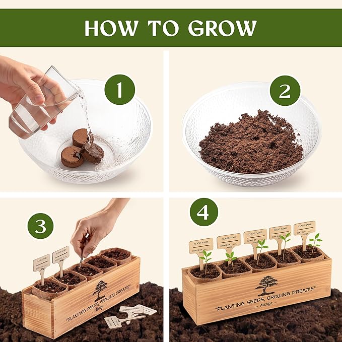 AVERGO Bonsai Tree Kit for Beginners – 5X Unique Japanese Bonzai Trees | - Image 3