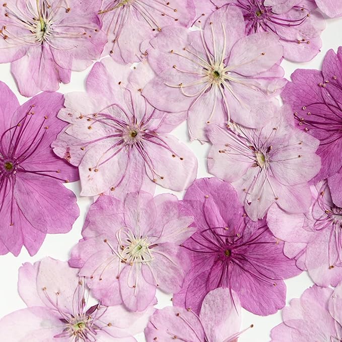 48 Pcs Dried Pressed Flowers for Resin DIY Art Crafts Natural Dry Sakura - Image 2