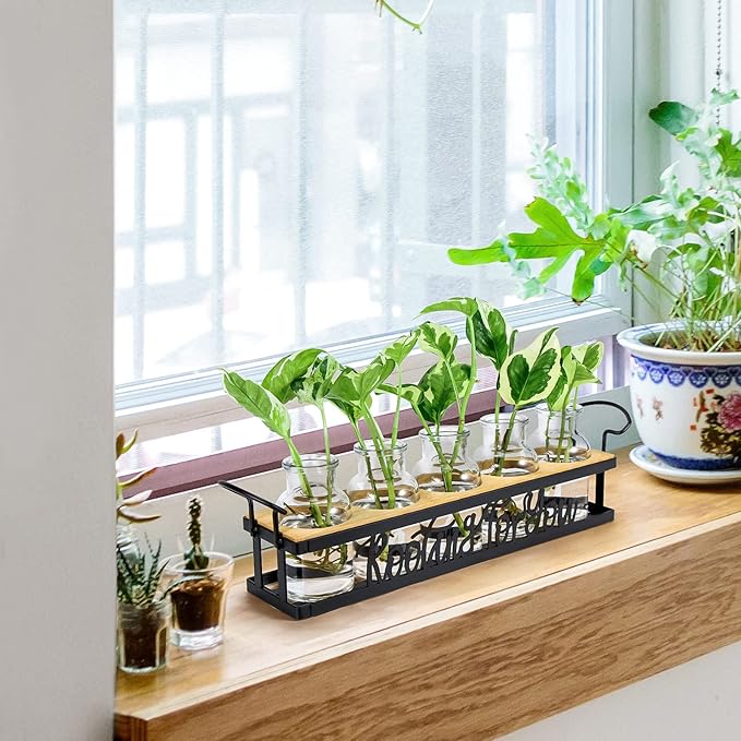 THYGIFTREE Plant Propagation Stations, Mothers Day Plant Lover Gifts - Image 3