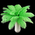 THARAHT Green Ostrich Feathers 12pcs Natural Bulk 8-10Inch 20cm-25cm by THARAHT