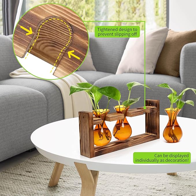 Plant Propagation Station Plant Terrarium Unique Birthday Gifts - Image 5
