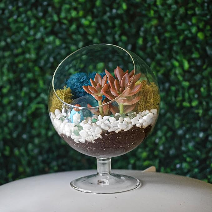 DIY Glass Plant Terrarium Kit for Adults, Metal Stand, Reindeer Moss, Tools & - Image 8