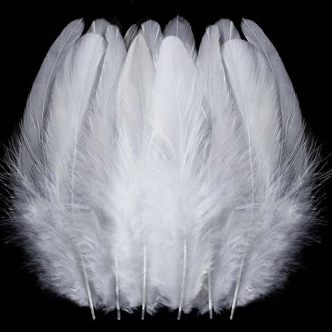 SOGUGOM White Rooster Tail Feathers by SOGUGOM