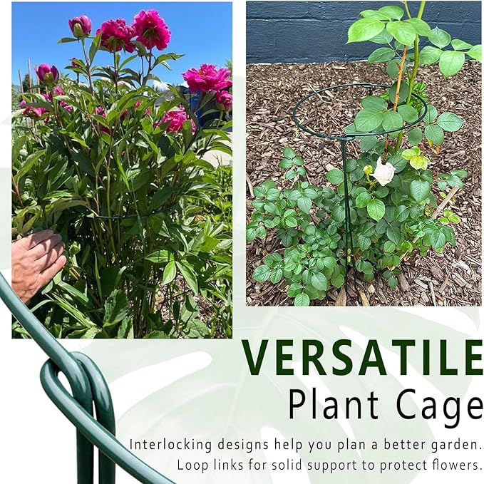 6 Pack Plant Support Stakes, Metal Monstera Plant Support Stakes - Image 7