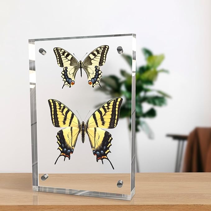 8x10 Inches Acrylic Picture Frames 3 Pack, Double Sided Magnetic Photo Frames - Image 4